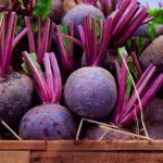 How-to-Harvest-Beets-Featured