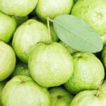 koppal-guava